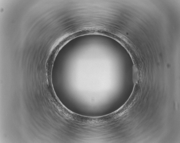 X0000059241022200510281925