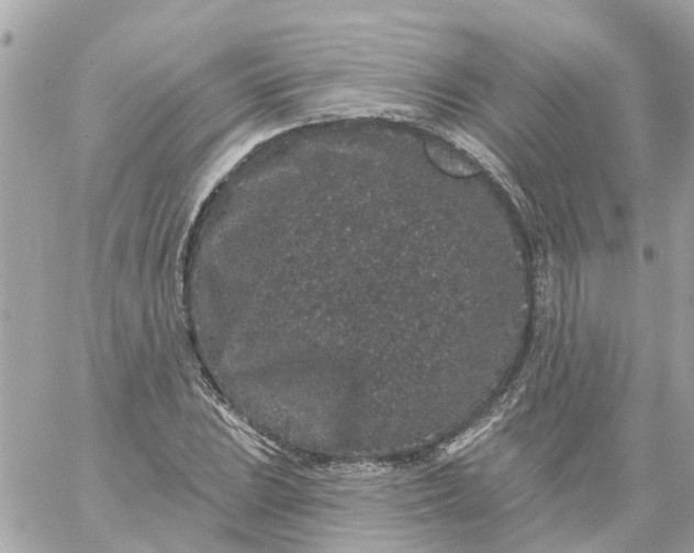 X0000059241023200510281925