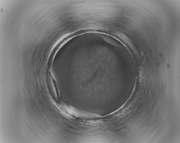 X0000059241024200510281925