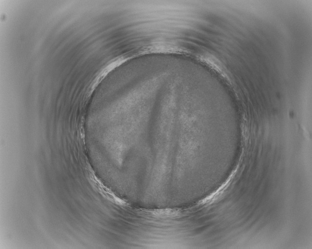 X0000059241025200510281925