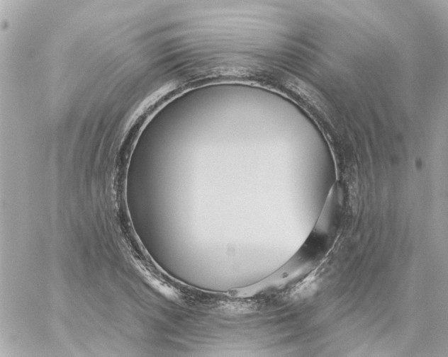 X0000059241026200510281925