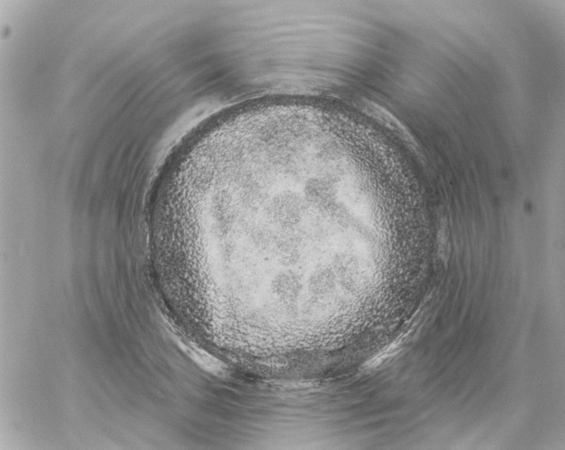 X0000059241027200510281925