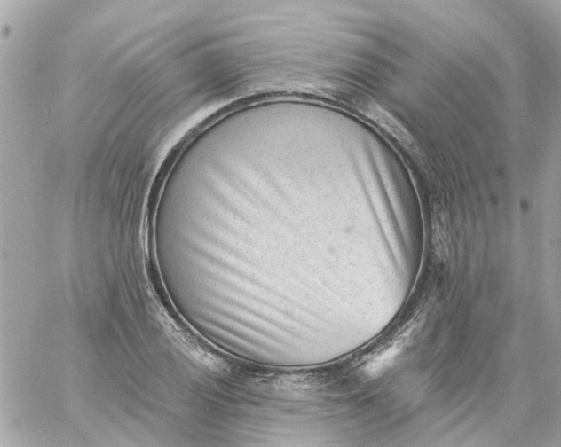 X0000059241028200510281925