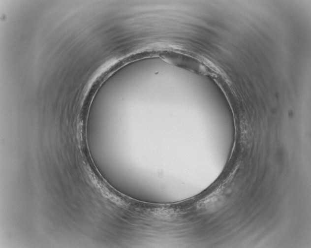 X0000059241029200510281925