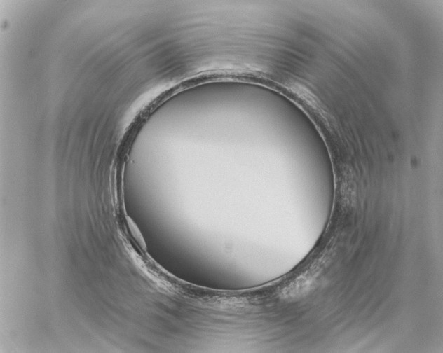 X0000059241030200510281925