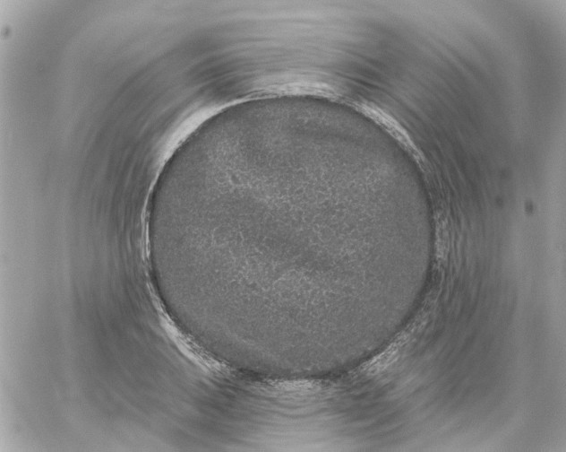 X0000059241031200510281925