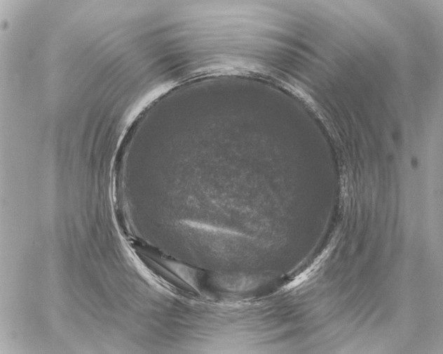 X0000059241034200510281925