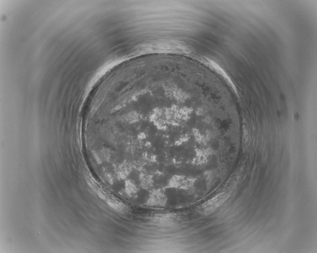 X0000059241035200510281925