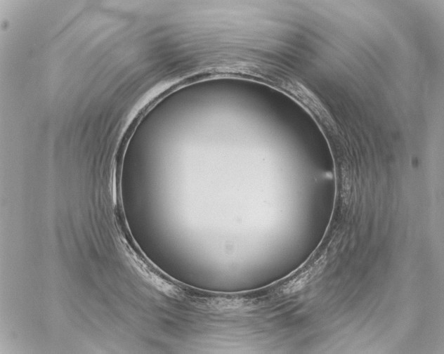 X0000059241036200510281925