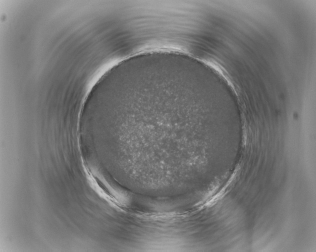 X0000059241038200510281925