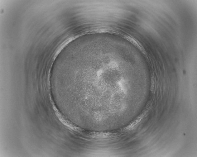 X0000059241039200510281925