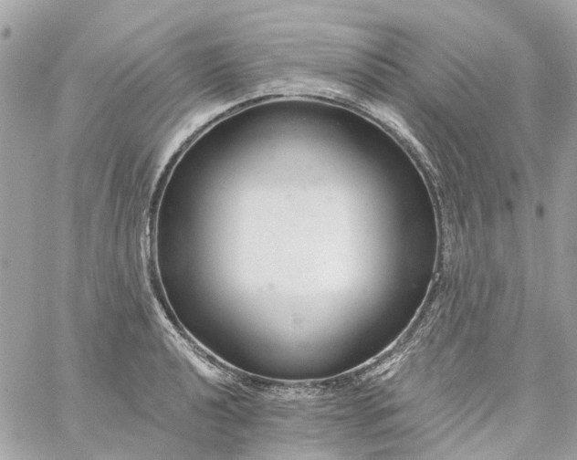 X0000059241040200510281925