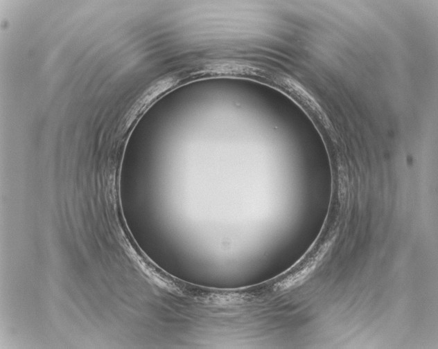 X0000059241041200510281925