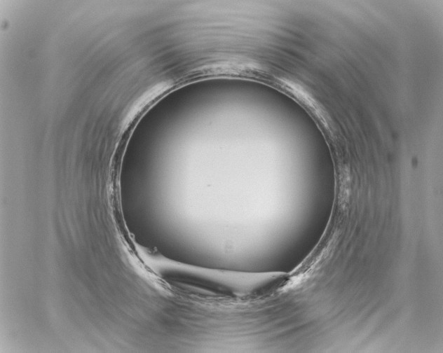 X0000059241042200510281925