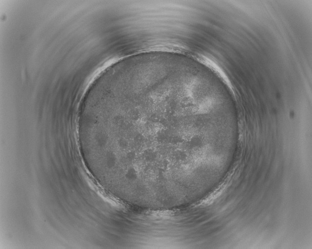 X0000059241043200510281926