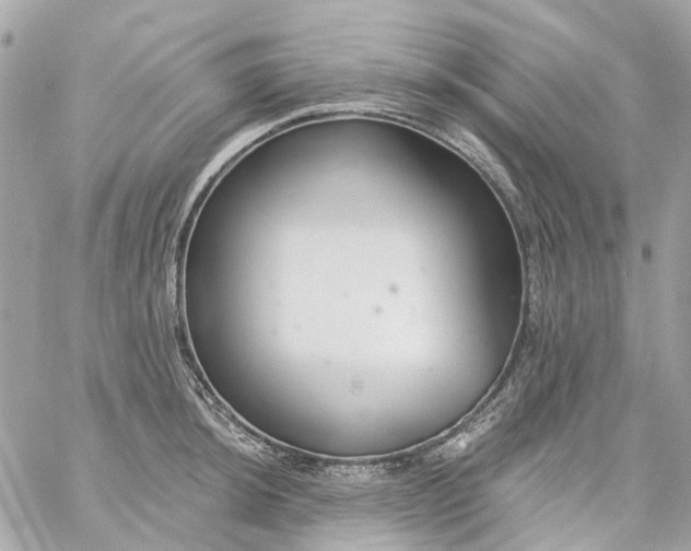 X0000059241044200510281926