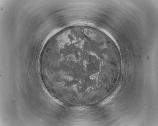 X0000059241045200510281926