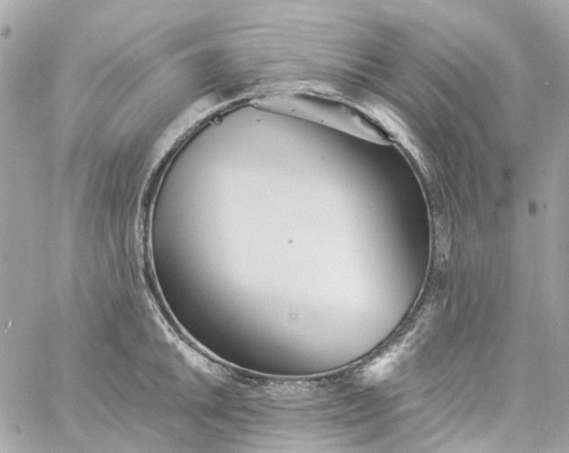 X0000059241046200510281926