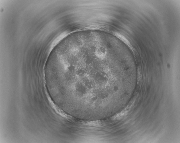 X0000059241047200510281926