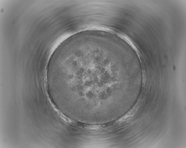 X0000059241048200510281926