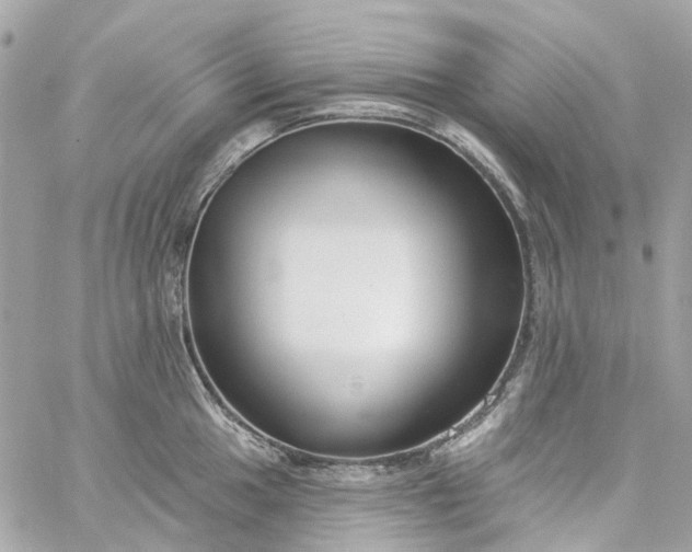 X0000059241049200510281926