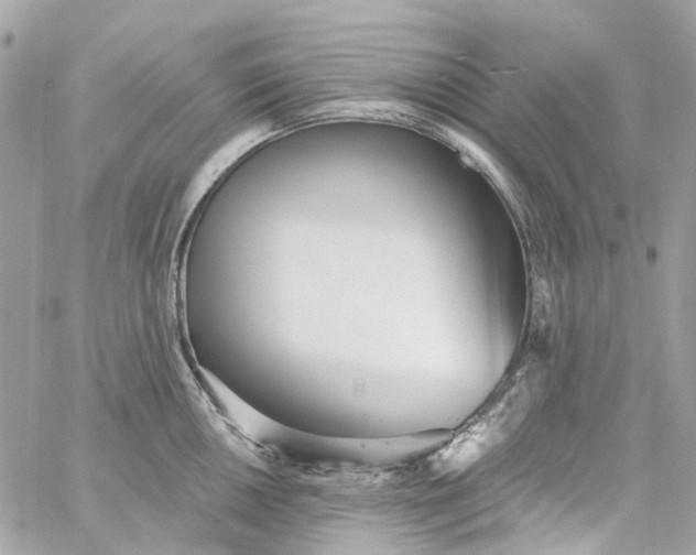 X0000059241050200510281926