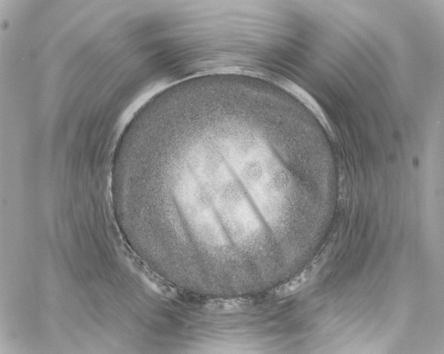 X0000059241051200510281926