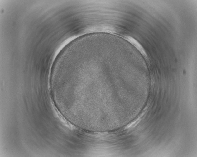 X0000059241052200510281926