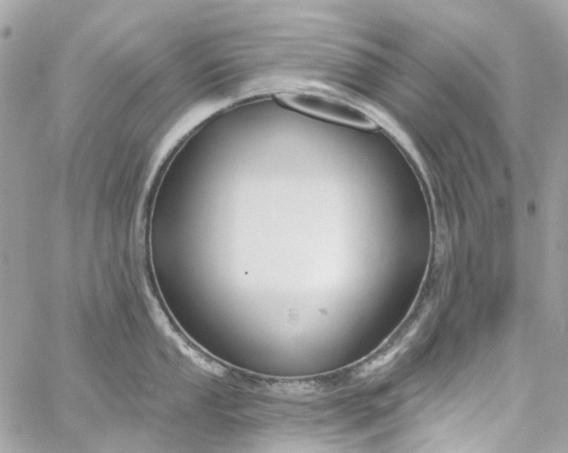 X0000059241053200510281926