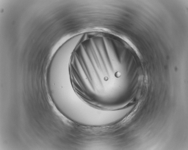 X0000059241054200510281926