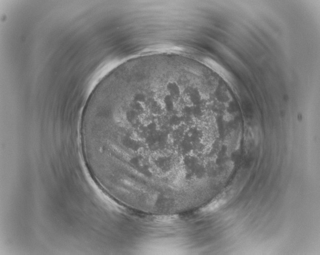 X0000059241055200510281926