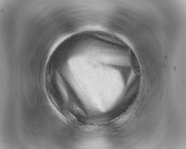 X0000059241056200510281926