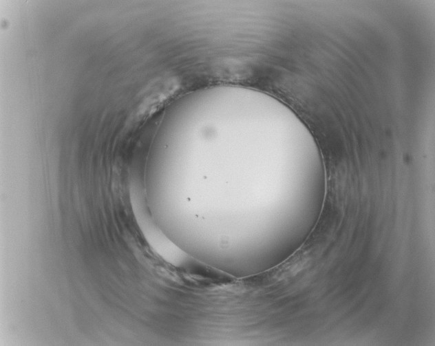 X0000059241058200510281925