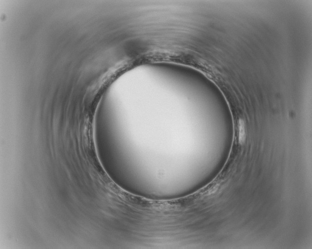 X0000059241059200510281925