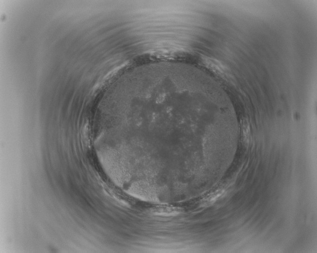 X0000059241060200510281925