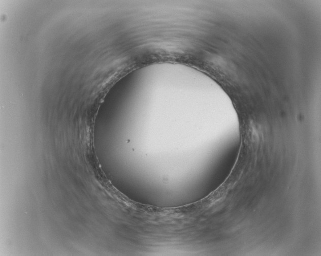 X0000059241061200510281925