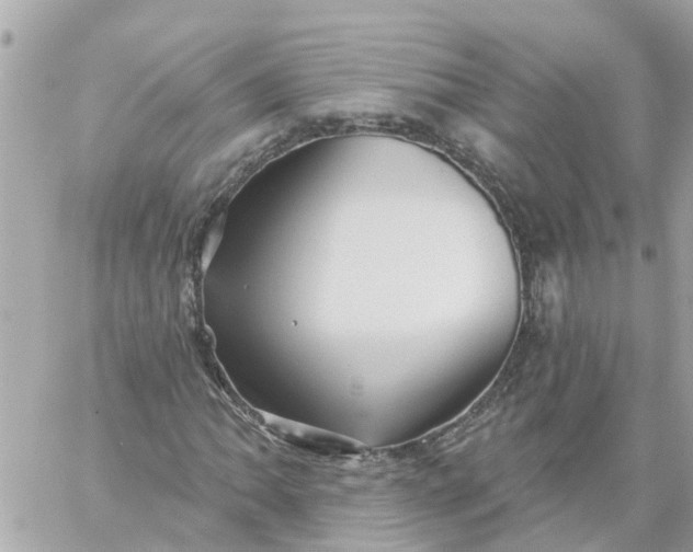 X0000059241062200510281925