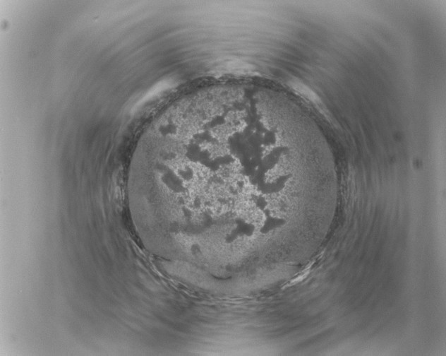 X0000059241063200510281925