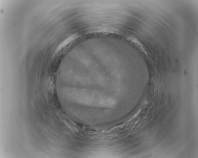 X0000059241064200510281925