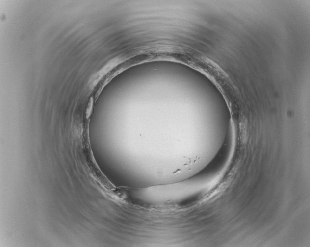 X0000059241065200510281925