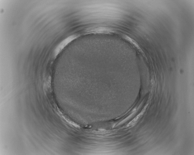 X0000059241066200510281925