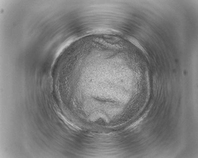 X0000059241067200510281925