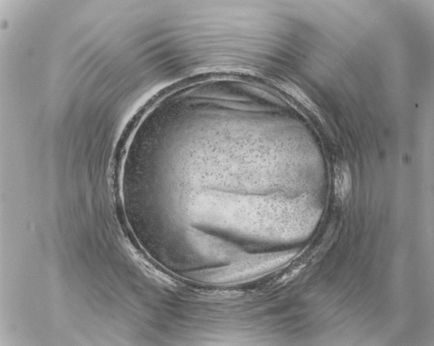 X0000059241068200510281925