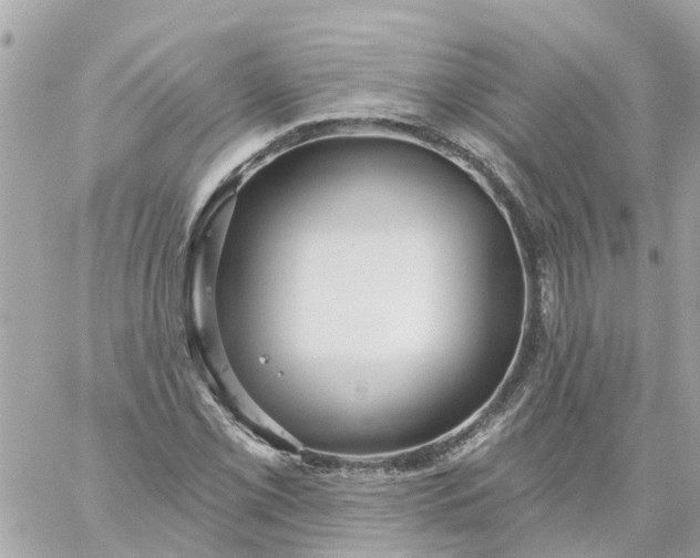 X0000059241069200510281925