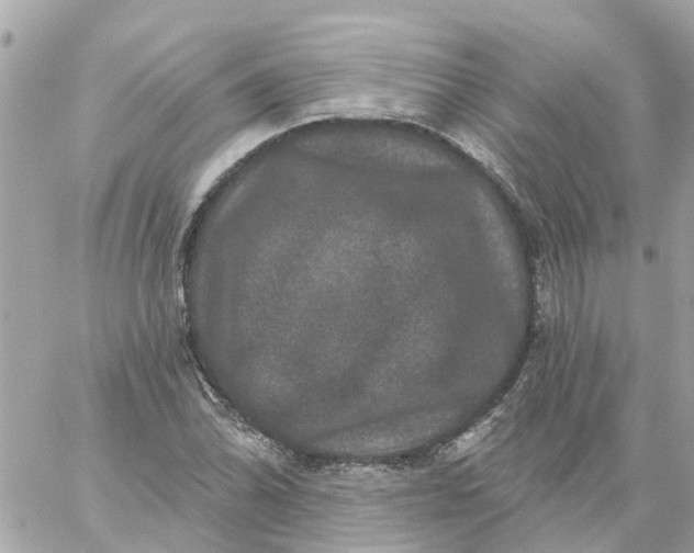 X0000059241070200510281925