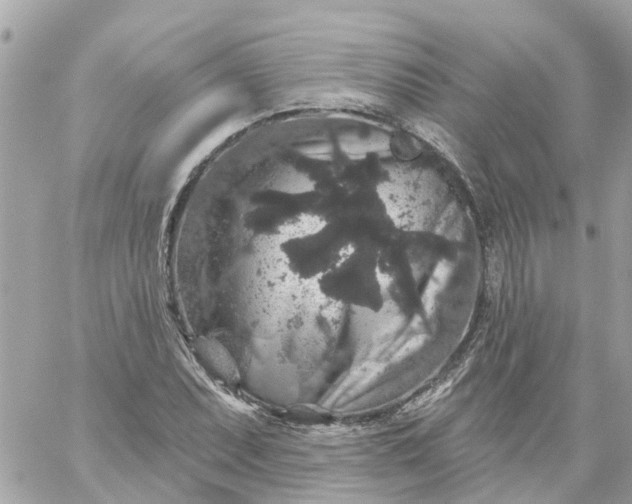 X0000059241071200510281925