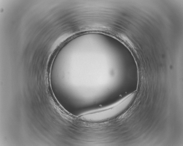 X0000059241072200510281925