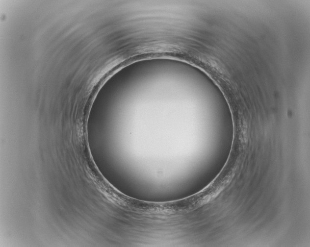 X0000059241073200510281925