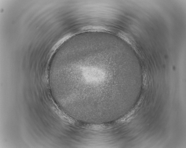 X0000059241074200510281925