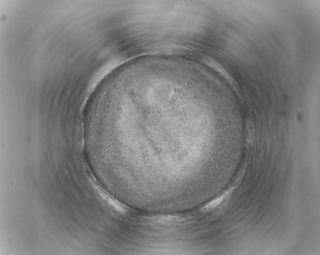 X0000059241075200510281925